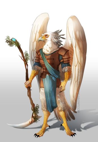 Aarakocra Druid