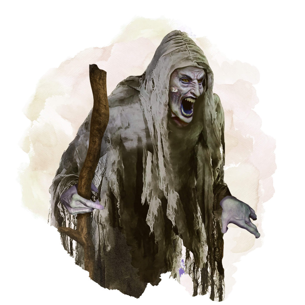 HAGS: The Exhaustive Guide of Hag Ecology and Methodology from D&D 3.5.